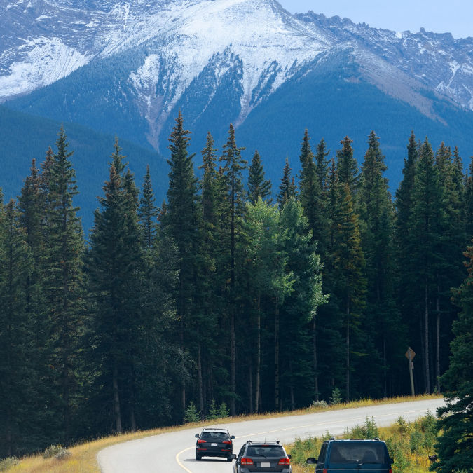 How to Prepare for an Environmentally Friendly Road Trip