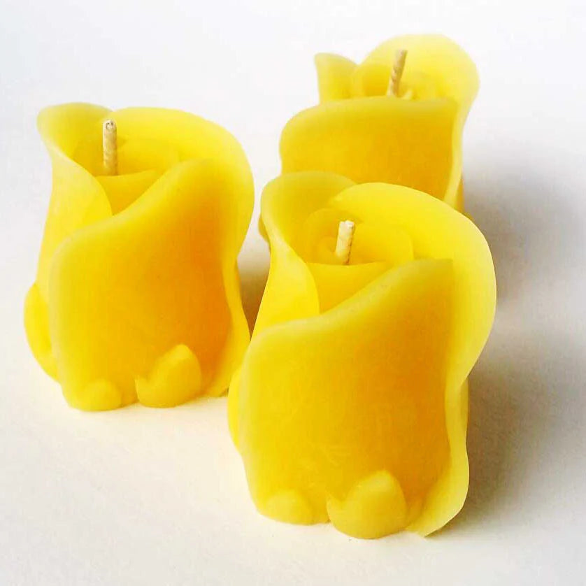 Eastvan bees - Beehive and Rose 100% Beeswax Candle