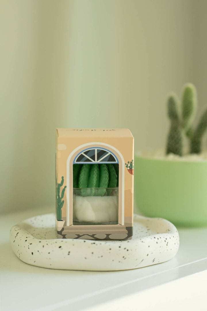 Barrel Cactus Tealight Candles: Mint w/ orange