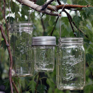 Stainless Steel Mason Jar Hanger hanging on a tree branch