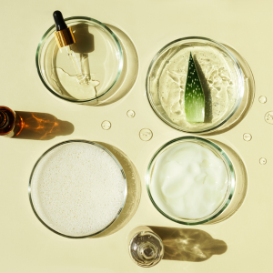 An assortment of glass dishes holding a glass dropper, aloe vera powder, aloe vera gel, and a piece of the aloe vera plant