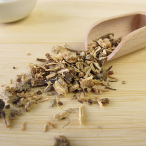 Echinacea root on a wooden table with a wide wooden scoop