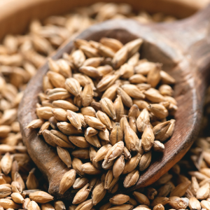 Crystal malt on a wooden spoon in a wooden bowl