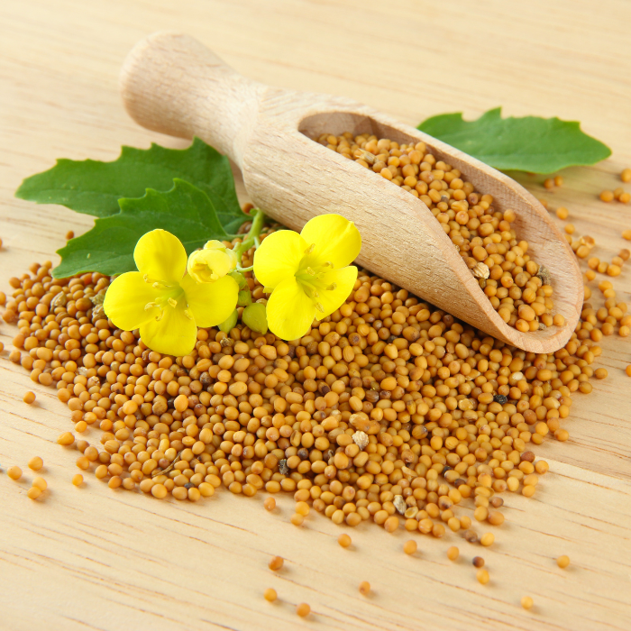 Mustard Seeds Yellow Whole