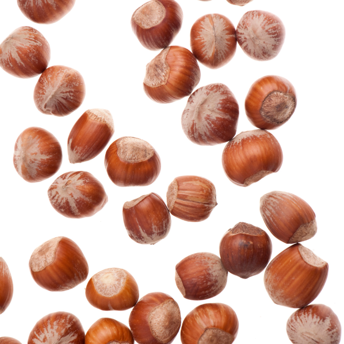 Raw hazelnuts scattered with a white background