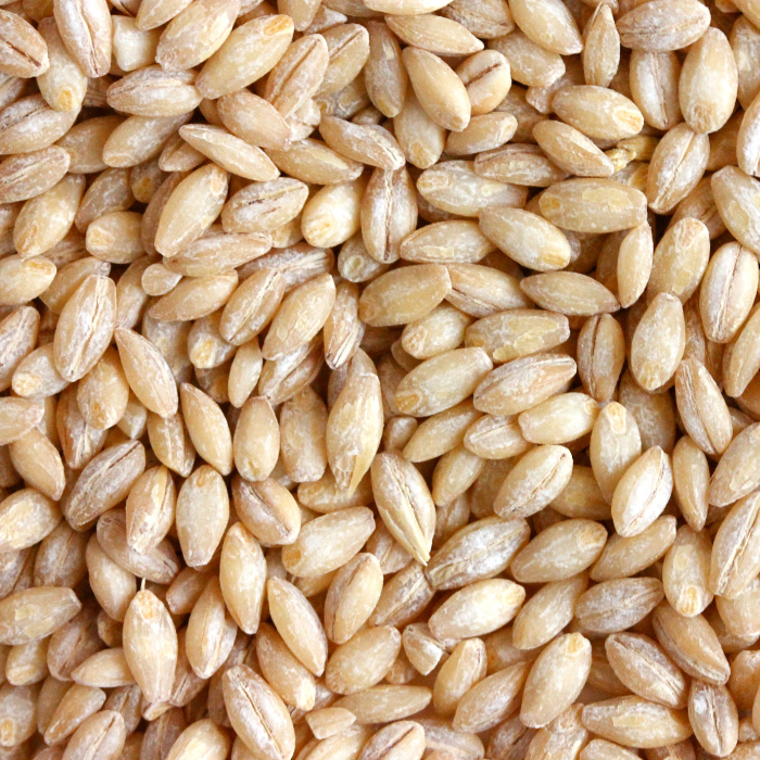 Pearled barley