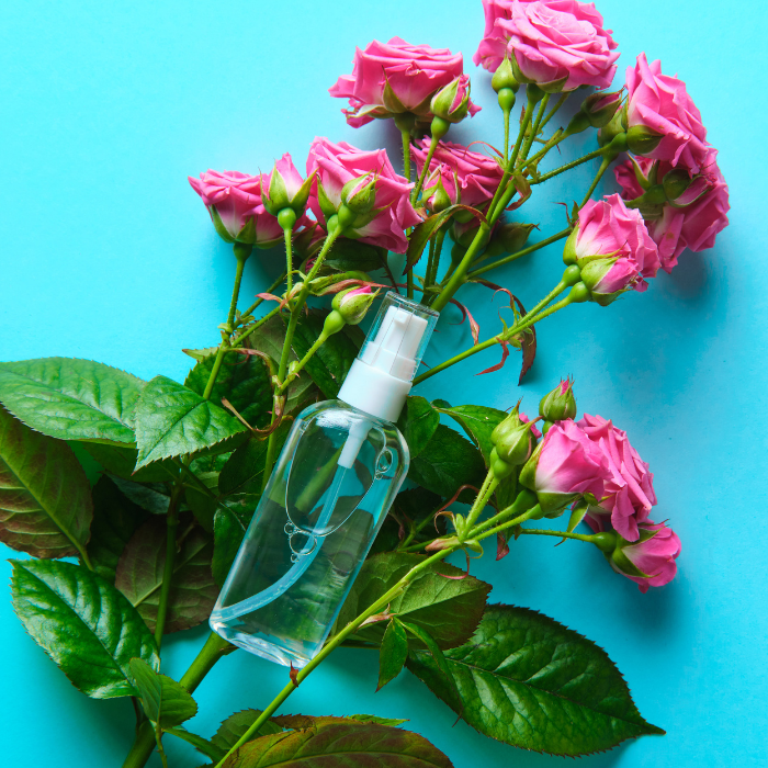 Fresh roses with a glass bottle of rose hydrosol on a turquoise background