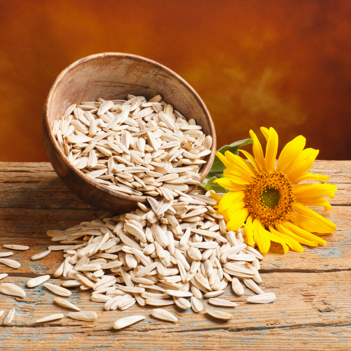 Sunflower seeds in a wooden bowl on a wooden surface next to a yellow sunflower