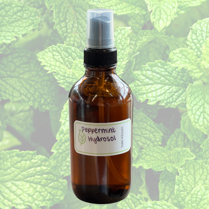 Peppermint hydrosol in an amber spray bottle with a faded peppermint bush background