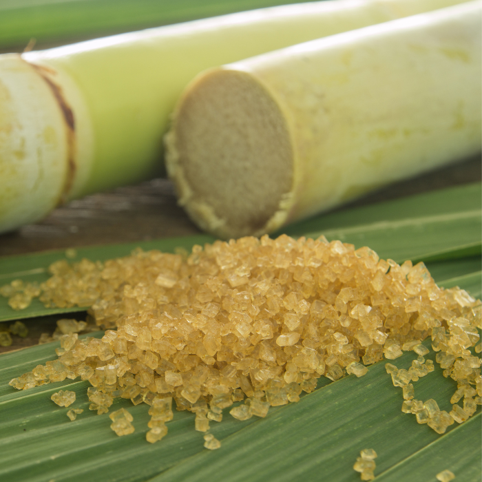 Cane sugar next to cane sugar plants