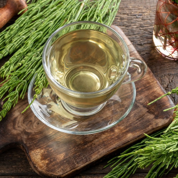 Horsetail herb next to a cutting board with a cup of horsetail tea on top of it