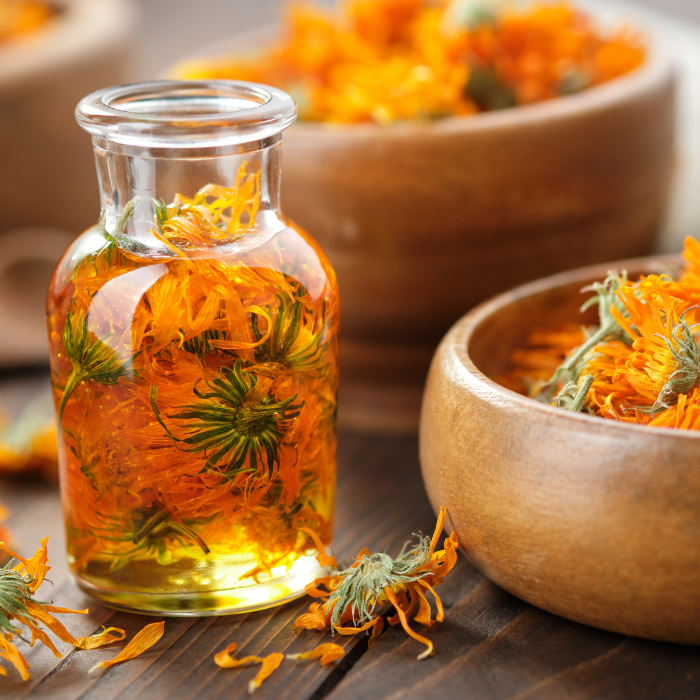 Whole calendula flowers infused in a glass bottle of oil next to a wooden bowl of flowers