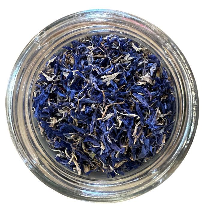 Blue cornflower in a clear glass jar with a white background