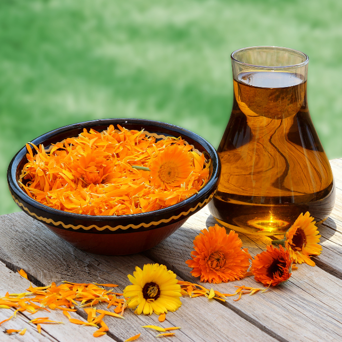 Calendula petals in a ceramic bowl next to a glass jar of calendula infused oil on a wooden surface