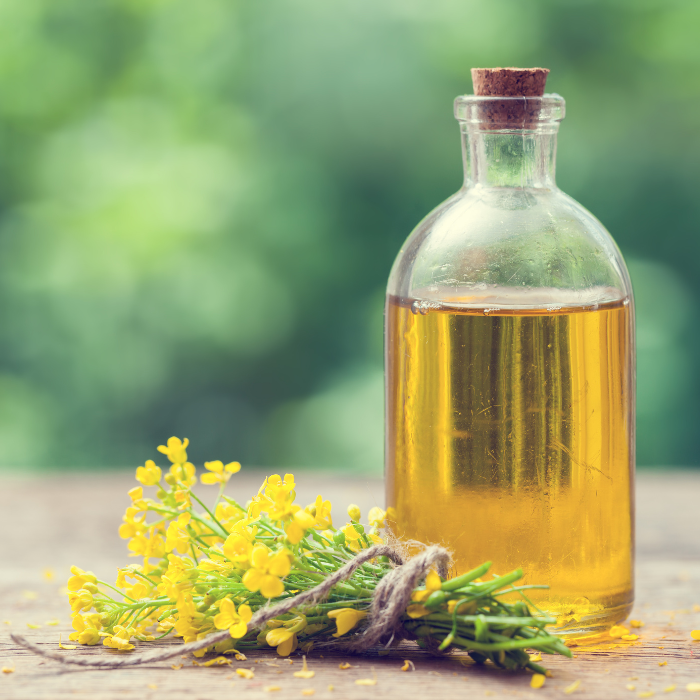 Canola oil in a glass bottle with a cork next to canola flowers