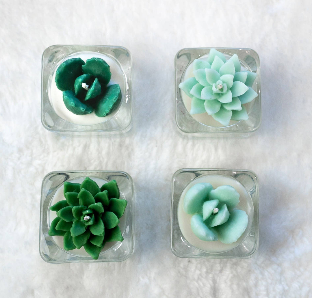 Succulent Tealight Candles | Soy Blend: Hens and Chick Succulent / Mint