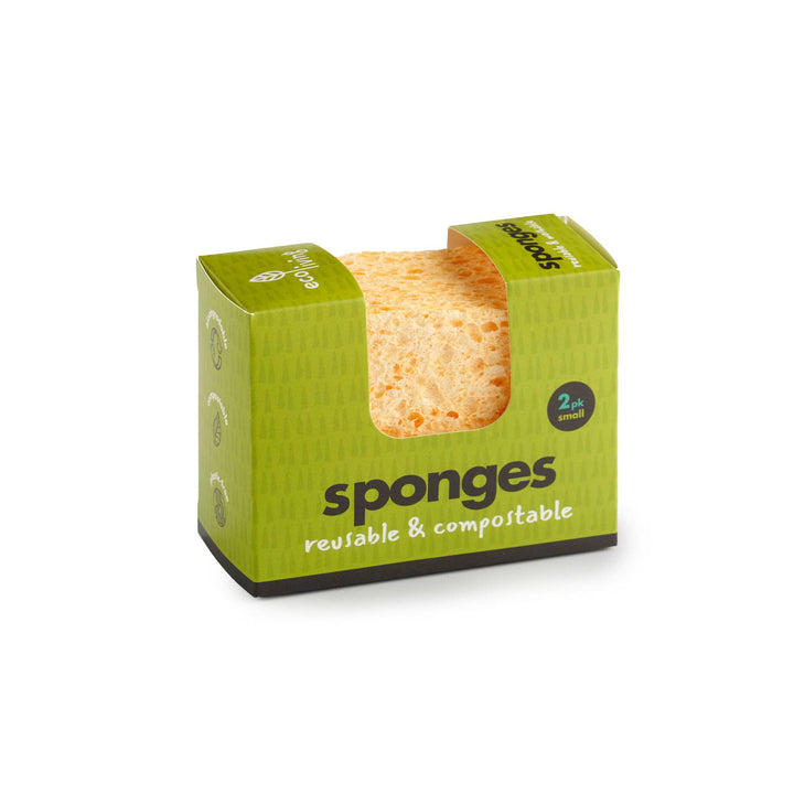 Compostable UK Sponge: Large Single