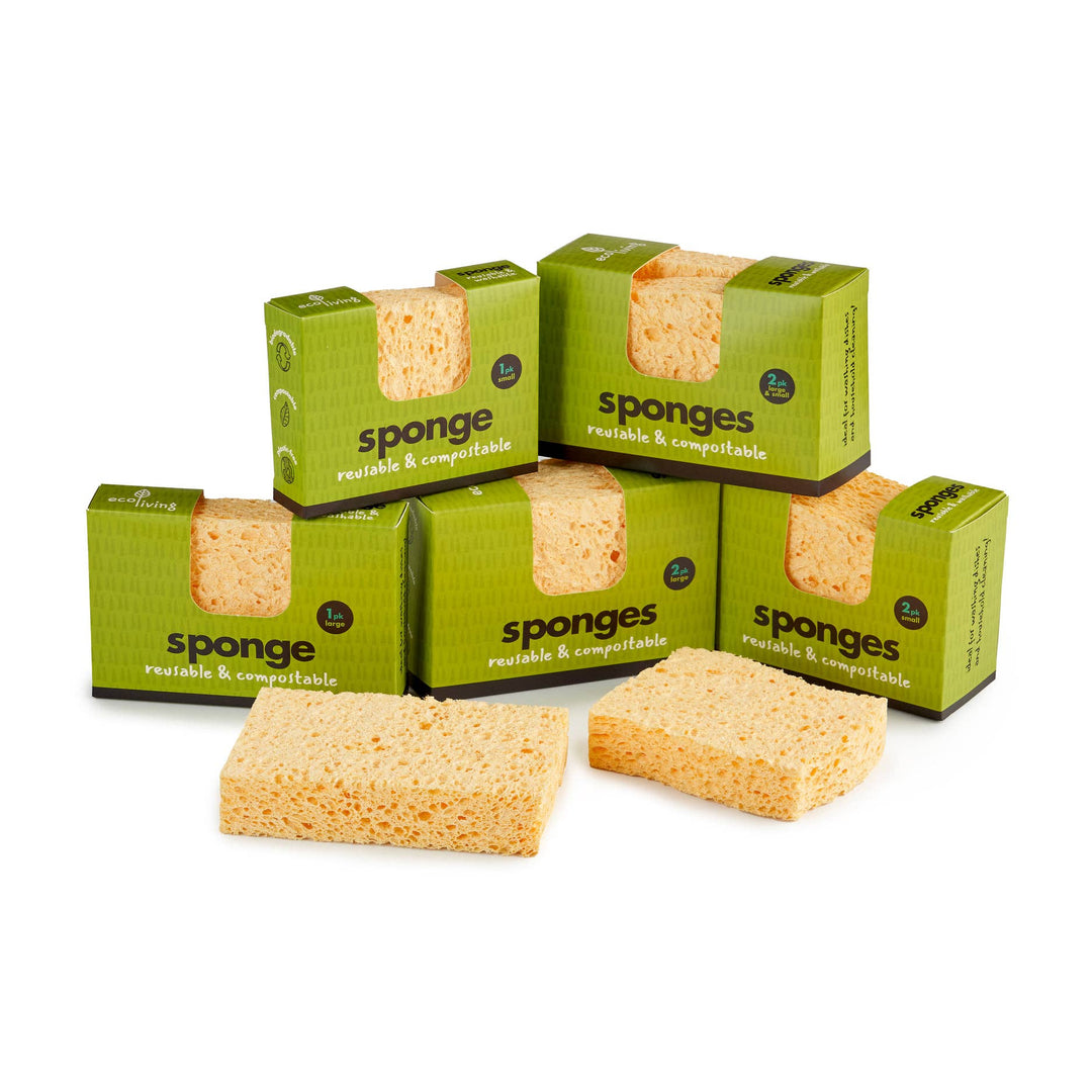 Compostable UK Sponge: Large Single