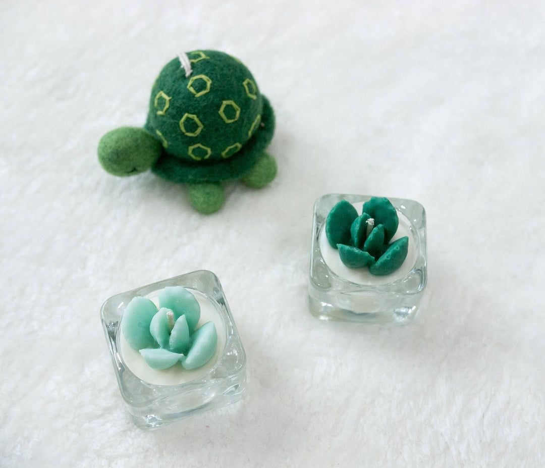 Succulent Tealight Candles | Soy Blend: Hens and Chick Succulent / Mint