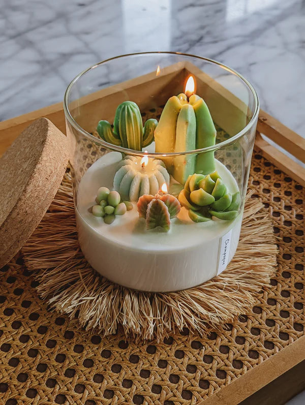 Zoet studio terrarium candle