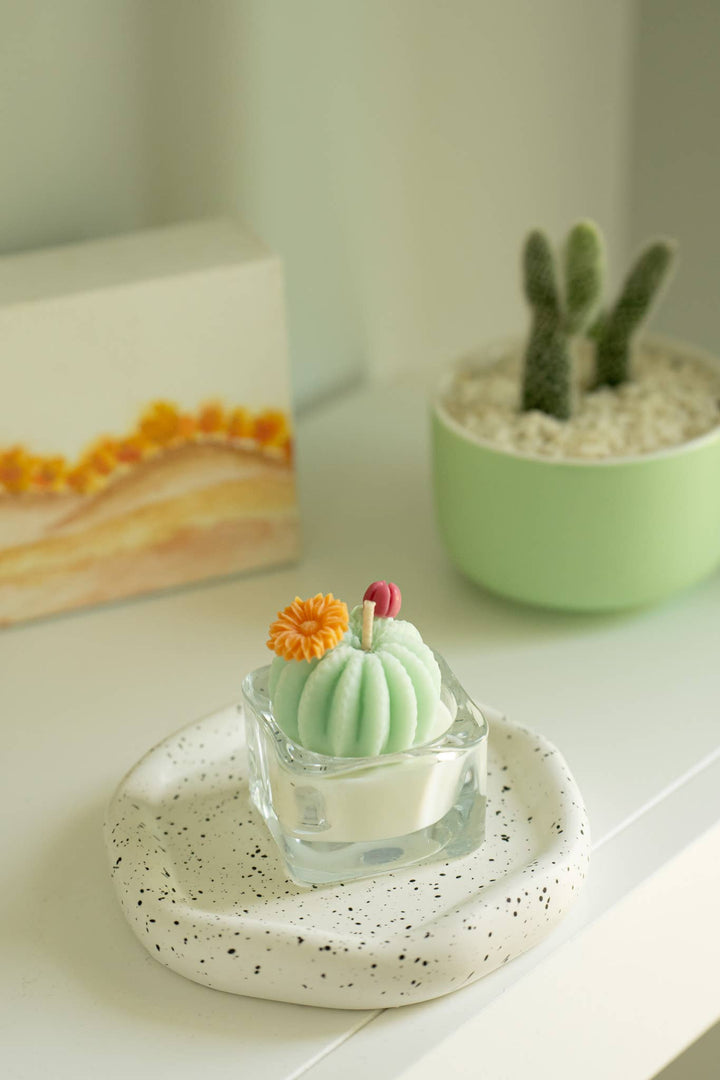 Barrel Cactus Tealight Candles: Mint w/ orange