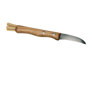 Mushroom Knife and Brush